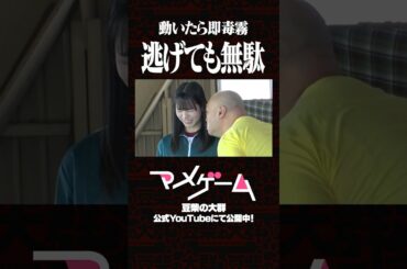 【アイカ・ザ・スパイ】マメゲーム Ep1 「だるまさんがころんだ」 #クロちゃん #豆柴の大群 #イカゲーム #豆tube