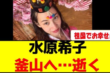 水原希子釜山へ…逝く🔥