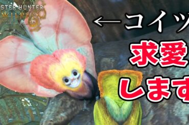 【ワイルズ環境生物】オメカシプテルスの求愛ダンスの成功と失敗【4K映像】