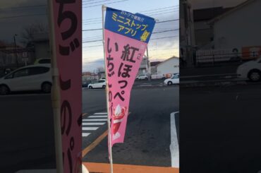 👑#ミニストップ🍨🍟🥩💯✨🚓💨#新前橋駅🚃#マトリックス🎮️#あかぎ団🔴#じゅじゅみ 👧#礒干彩香✨#宮前風吹🌸#宮前風花💎🌸#menkoiガールズ 👧🐈️🎤#ZARD💯#SARI✨#MIRI👧