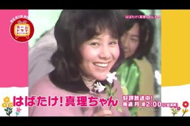 【4月】〈連続企画〉天地真理特集「真理ちゃんシリーズ」