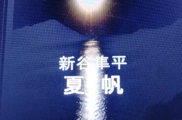 新谷隼平/夏帆/by山本かずのり