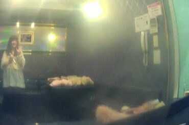 岡田有希子／✨🌙秘密のシンフォニー🌠💕【うたスキ動画】#にゃんこちゃユッコ