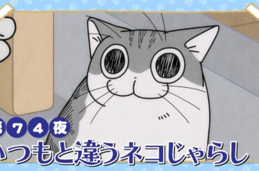 アニメ『夜は猫といっしょ』第74夜「いつもと違うネコじゃらし」