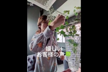 富士市lounge花律〜ひらり〜さんへ生け込み