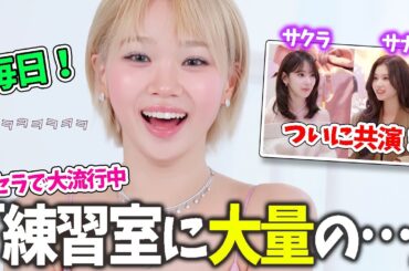 【LE SSERAFIM】サナの番組にサクラがゲストとして出演！金髪ショートが可愛すぎるチェウォン【日本語字幕】