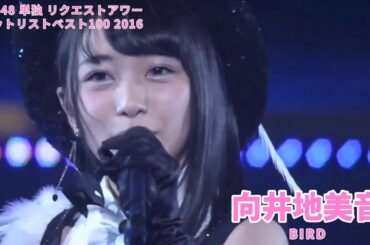 AKB48 - BIRD ~ Tandoku Request Hour 2016 (Mukaichi Mion)