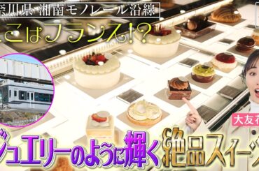 【大友花恋in湘南】大船のフランス!? ジュエリーみたいなスイーツに感動！〈ロコレコ〉ekinote×湘南モノレールの旅