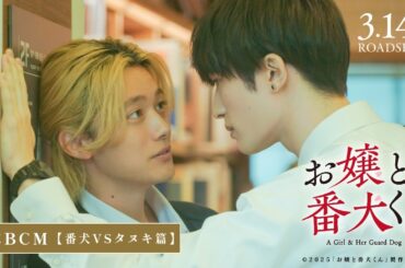 映画『お嬢と番犬くん』WEBCM《番犬VSタヌキ篇》【3月14日(金)公開】