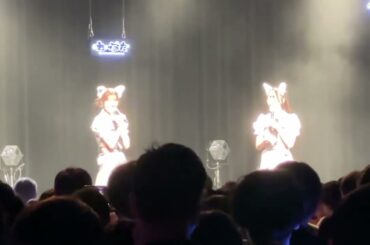 松田美里さん　かっこいいこと言う　オタク過剰に叫ぶ　画質悪し　夏恋ツアーファイナル東京