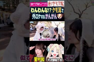 【蓮ノ空】わんわんな!? ケモ耳衣装で先輩と外ロケする菅叶和【Link! Like! ラブライブ!】#shorts aqours 虹ヶ咲 Liella!  かんかん 大沢瑠璃乃 声優 梅澤めぐ 犬