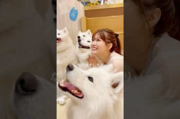 犬が大好きな #生見愛瑠 が大はしゃぎ🐶💕
