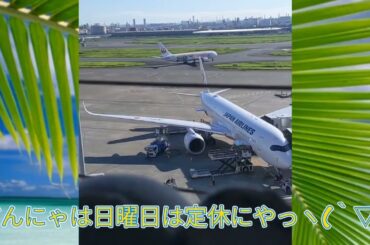 だんにゃの日記。ＢＧＭは大好きな松岡直也様曲。お手製キンキンの煮付けで乾杯！