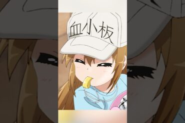 はたらく細胞、監督：鈴木健一、主演：花泽香菜 、前野智昭、小野大辅、井上喜久子  #アニメ #shorts #anime #shonen #sitcom #comedy