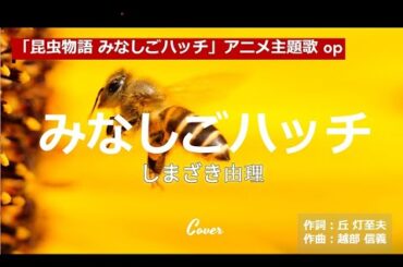 嶋崎由理／みなしごハッチ／Cover