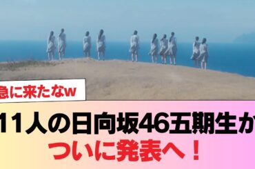 【速報】ティザームービーも公開！11人の日向坂46五期生がついに発表へ！！ #日向坂46 #日向坂 #日向坂で会いましょう #乃木坂46 #櫻坂46