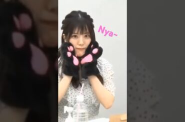 Neko Chiemi 😺🤍🩷 #田中ちえ美 #ChiemiTanaka