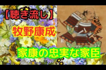 徳川家臣・牧野康成の激動の人生とは？【聴き流し・作業用】