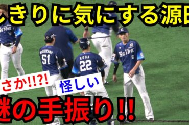 源田壮亮が試合前のウォーミングアップ中に謎の手振りサイン！？異様にスタンドを気にして落ち着かないようにも見える…まさか!!!?2人目!?