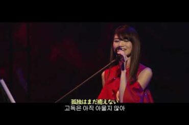 하야미 사오리(早見沙織) -  Metro Night(メトロナイト) 2019 Live / 작사 작곡: 하야미 사오리