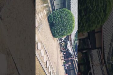 第31回　東急カルチャーウォークに参加しますね。楽しみにしております。ワクワクしますね。KBS京都のアナウンサーの海平和さんと梶原誠さんに逢いました。醍醐寺に来ましたよ。