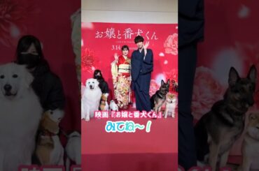 #福本莉子 番犬大集合『お嬢と番犬くん』