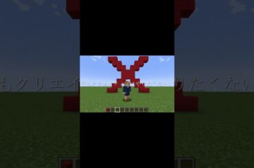 【マインクラフト】＃有形無形　「ねぇ、荷が重たい。あなたが持ってよ」　＃マインクラフト　＃マイクラ　＃shorts