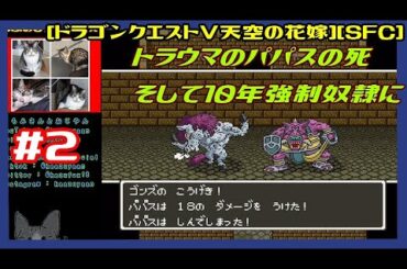 #2 [実況] 夢に出てた少年時代妖精の国編氷の館から 絶望を経験する 10年強制奴隷生活 [ドラゴンクエストV天空の花嫁:DragonQuestV][SFC:SNES][Retro:レトロゲーム]