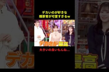 デカいのが大好きな畑芽育が可愛すぎるw#千鳥 #大笑い #お笑い動画 #お笑いネタ #面白い #shorts