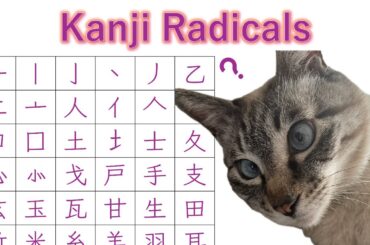 Radicals of Kanji 漢字の部首 ~ Learn Japanese with Toby ~ 2,136 Joyo kanji characters
