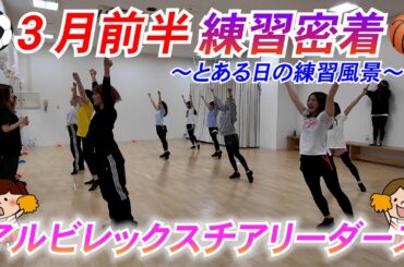【裏側シリーズ】とある日の練習【アルビレックスチアリーダーズ】