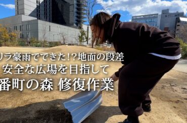 #167 番町の森 修繕活動