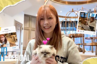 [NiziUnplug] 猫カフェ | お友達に癒されてきたよ〜🐈🐈‍⬛  | MAYUKA's VLOG