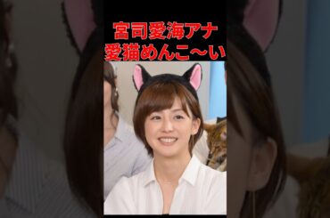 【宮司愛海アナ】にゃんこちゃん、めんこ〜い #宮司愛海 #女子アナ #フジテレビ