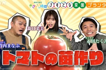 [やさいの時間] トマトのプランター栽培をカミナリと森日菜美がご紹介&【3/23(日)放送告知】やさいの時間 | さすてな菜園プランター ルーツに学ぶ リーフレタス」| NHK