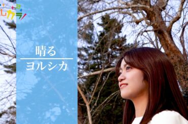 【Cover by よしカラ】ヨルシカ「晴る」/吉川茉優