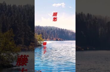 【湖愁】  藤圭子  #shorts  #湖愁  #藤圭子  #演歌