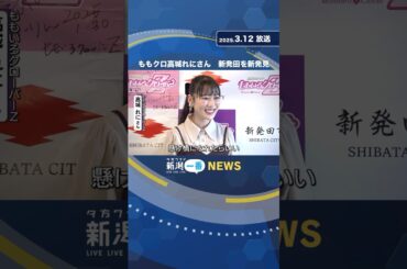 ももクロ高城れにさん　新発田を新発見 #shorts