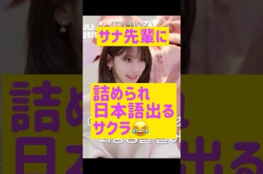 サナ先輩に詰められて日本語で答えちゃう宮脇咲良さん @nanasensei777 #韓国語 #lesserafim #twice
