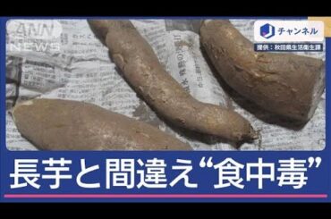 長芋と間違え“グロリオサ煮物”で食中毒に…【スーパーJチャンネル】(2025年2月20日)