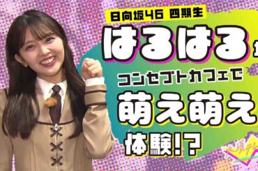 日向坂46 山下葉留花が大須で“萌え萌え体験”!? オムライスデコレーション対決も！｜大須テレビ