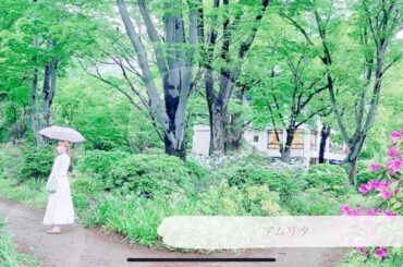 【full ver. *･】  アムリタ／牧野由依 covered by.sanoyuuri【ツバサ・クロニクル】