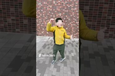 豆柴の大群『りロード』踊ってみた