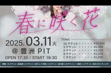 2025/03/08 花いろは 達家真姫宝 SHOWROOM ②