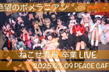 2025.03.09【ねこせ雲丹】絶望のポメラニアン ねこせ雲丹 卒業LIVE：PEACE CAFE