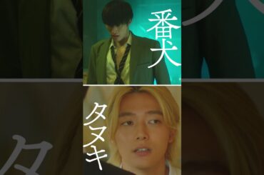 映画『お嬢と番犬くん』WEBCM《番犬VSタヌキ篇》【3月14日(金)公開】#shorts