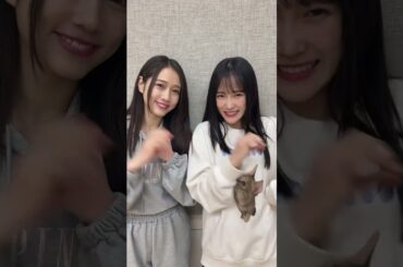 つばきファクトリーチームパープル💜 #CANDYTUNE さんの #倍倍fight #ハロプロ #つばきファクトリー #谷本安美 (左)#あんみぃ #河西結心 (右)#ゆってぃ