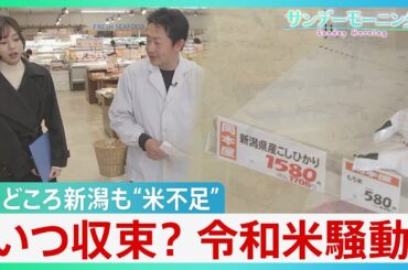 「そう簡単に不足は解消しない」備蓄米放出も…米どころ新潟も“米不足”　いつ収束？「令和の米騒動」米騒動【サンデーモーニング】｜TBS NEWS DIG