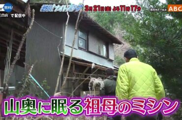 「探偵！ナイトスクープ」3月21日（金）よる放送！
