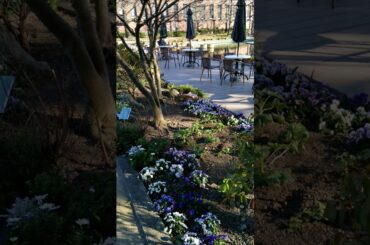 💕恋の風車🍀天地真理❤️子猫に恋はまだ早いかな～🤭幸せ色の風が短調なのは嫉妬心からかな～😃
